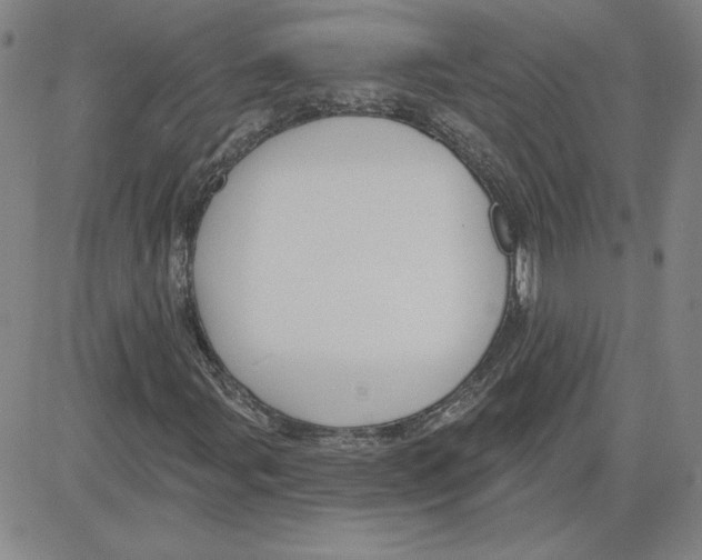 X0000080101107200701051258