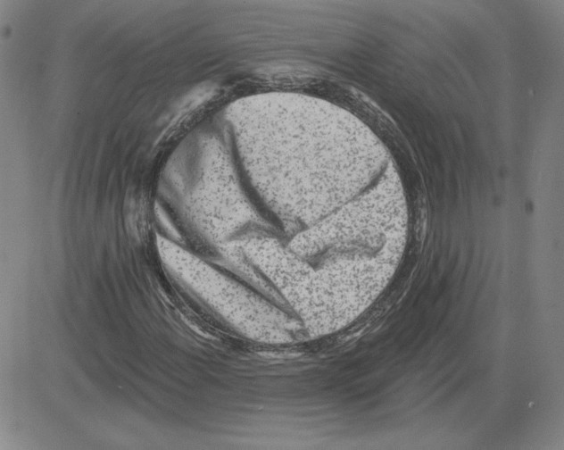 X0000080101108200701051258