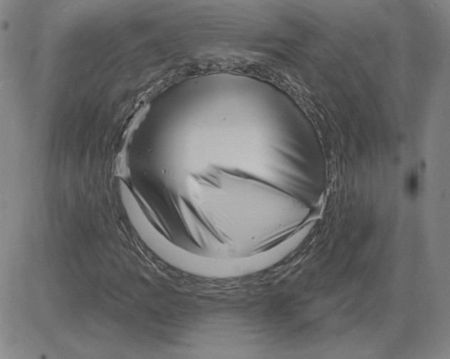 X0000080101109200701051258