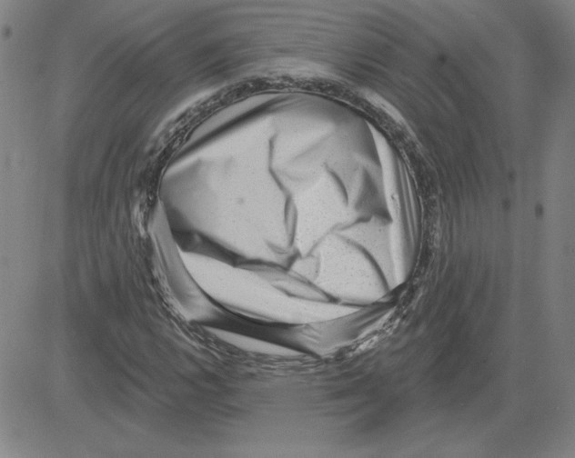 X0000080101112200701051258