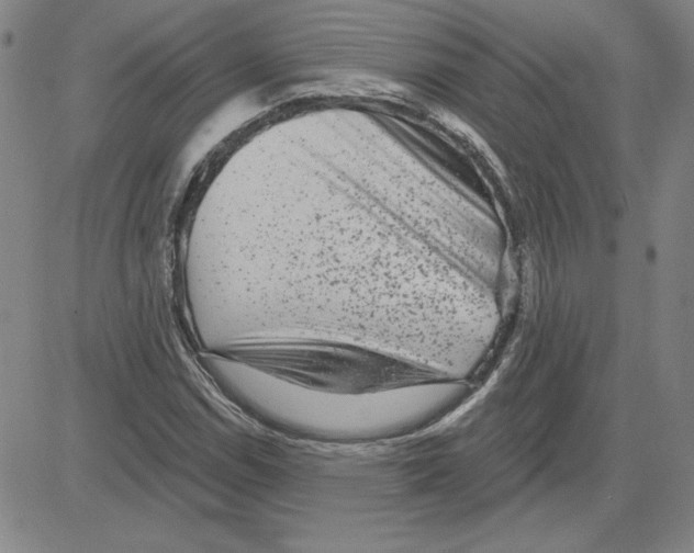 X0000080101114200701051258