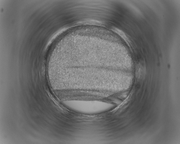 X0000080101115200701051258