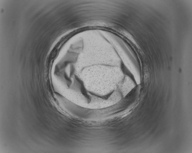 X0000080101116200701051258
