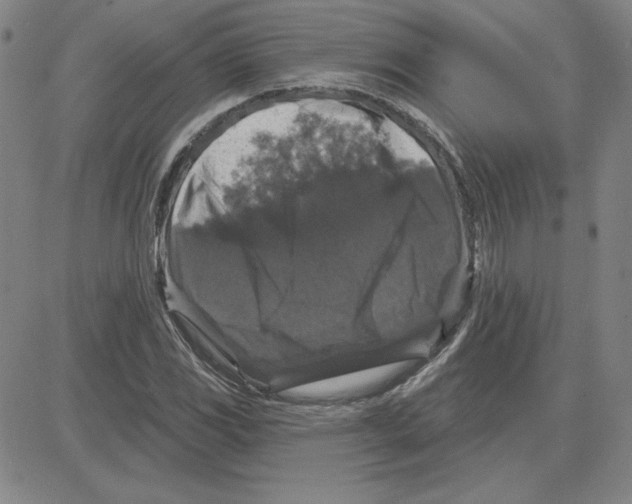 X0000080101117200701051258