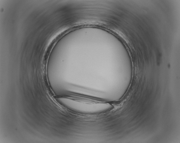 X0000080101119200701051258
