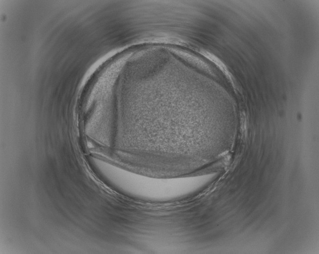 X0000080101120200701051258
