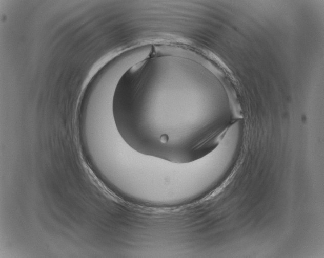 X0000080101122200701051258