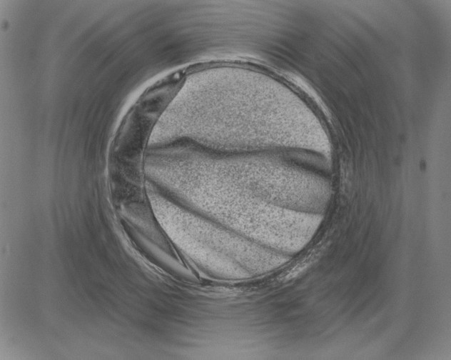 X0000080101124200701051258