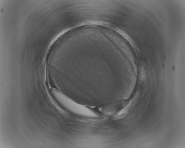X0000080101127200701051258