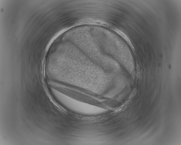 X0000080101128200701051258