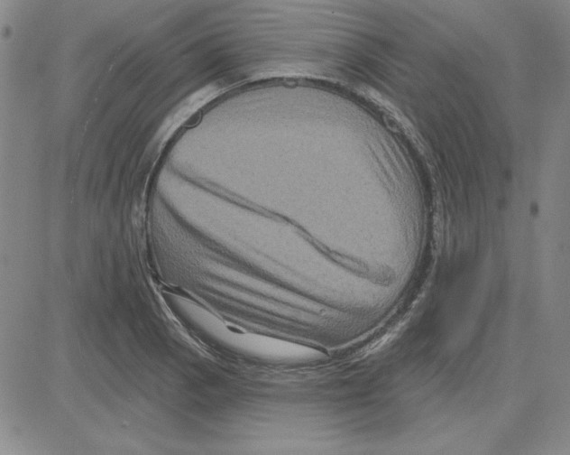 X0000080101129200701051258