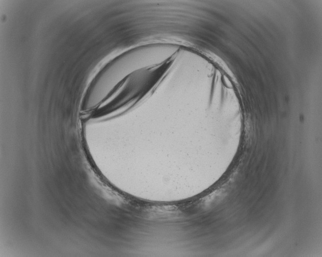 X0000080101133200701051258
