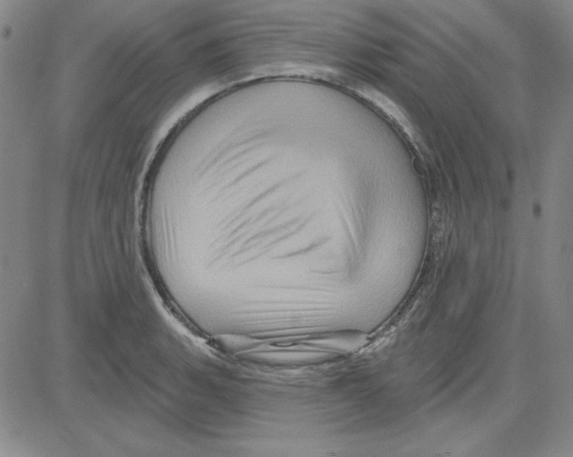 X0000080101135200701051258