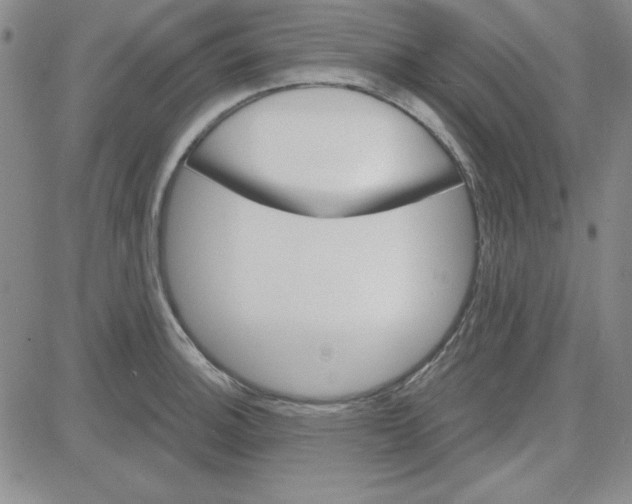 X0000080101140200701051258