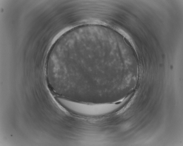 X0000080101141200701051258