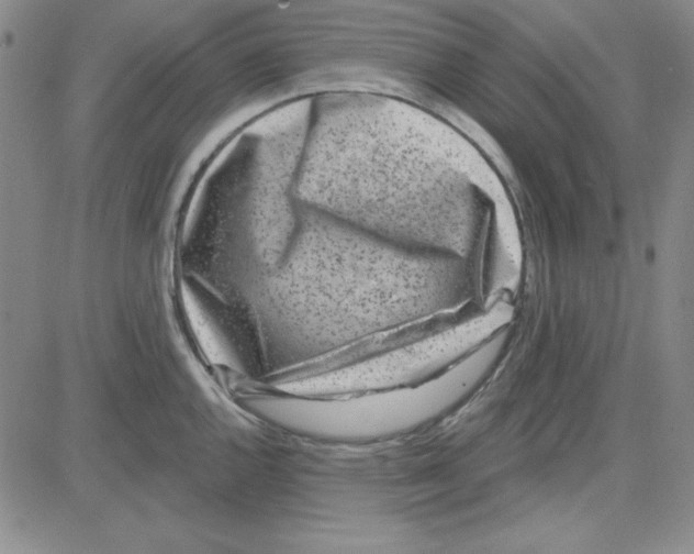X0000080101144200701051258