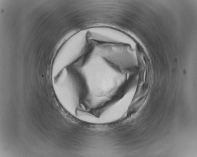 X0000080101145200701051258