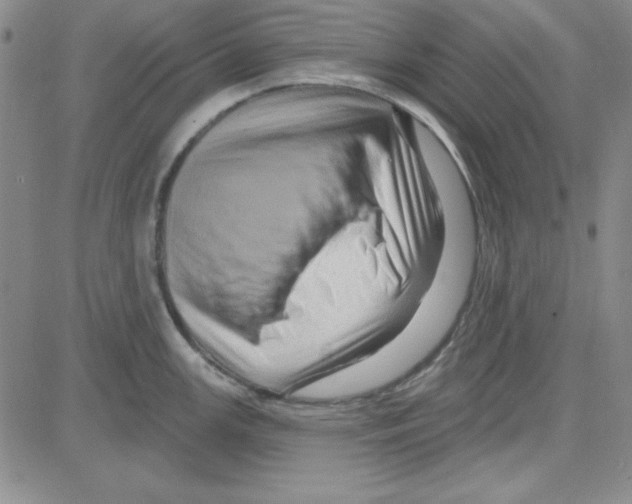 X0000080101147200701051258