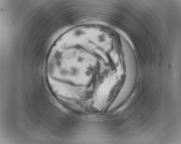 X0000080101149200701051258