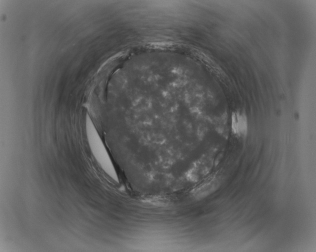 X0000080101155200701051257