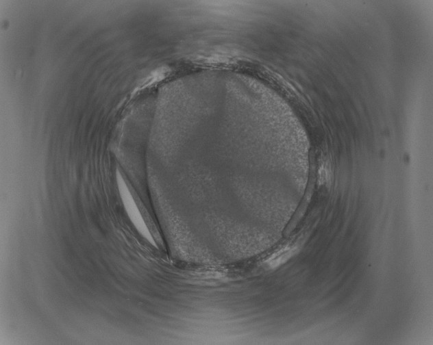 X0000080101156200701051257