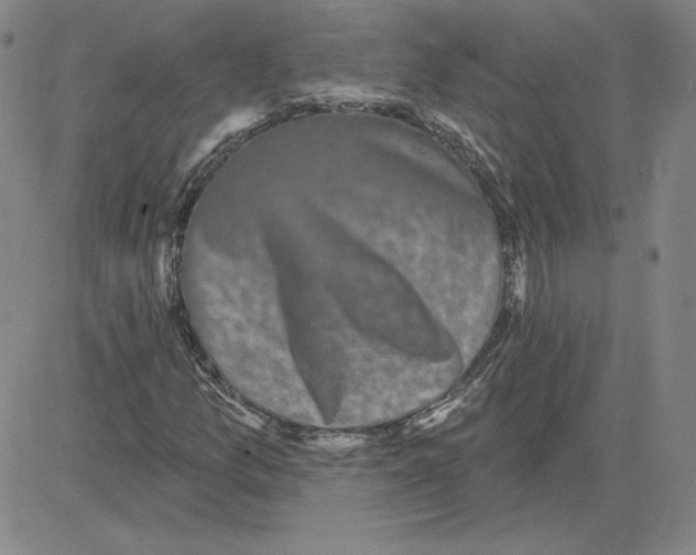 X0000080101157200701051257