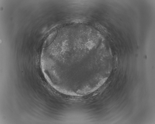 X0000080101158200701051257