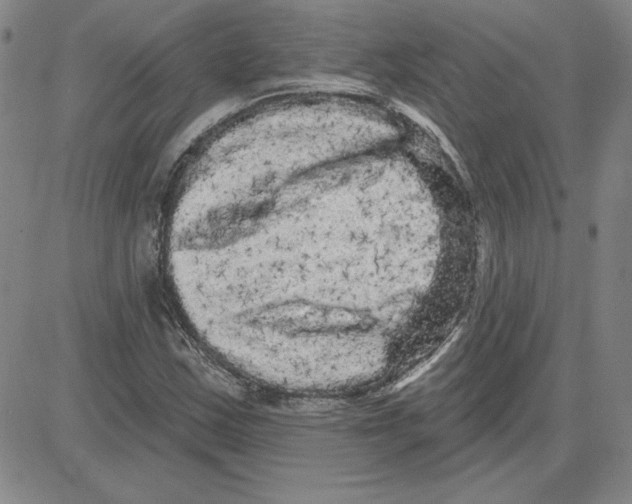X0000080101163200701051257