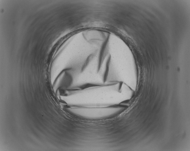 X0000080101166200701051257