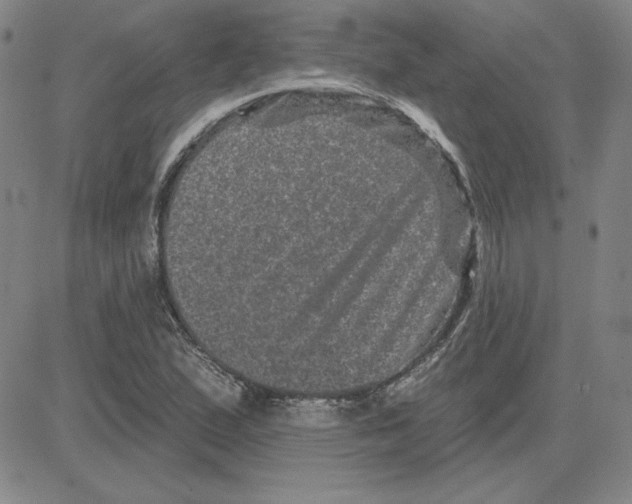 X0000080101167200701051257