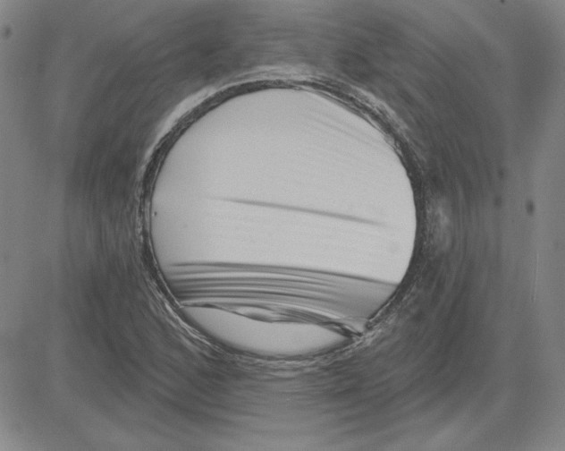 X0000080101168200701051257
