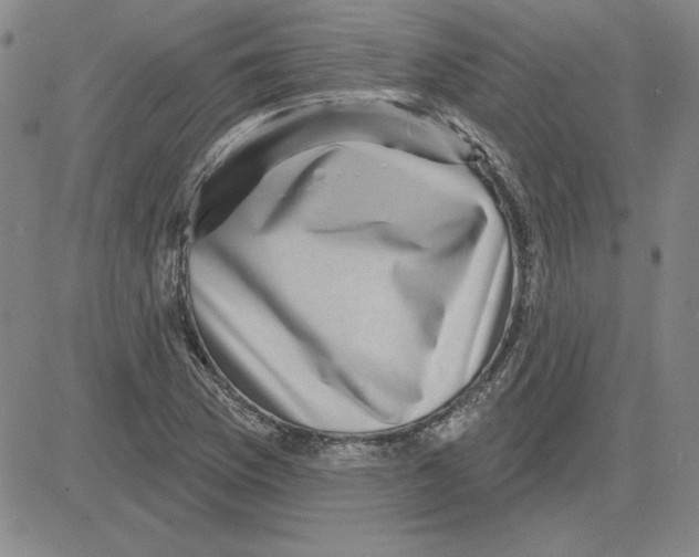 X0000080101169200701051257