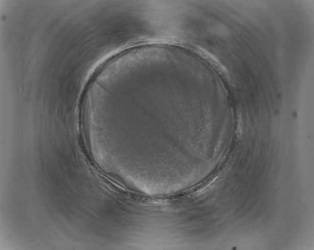 X0000080101174200701051257