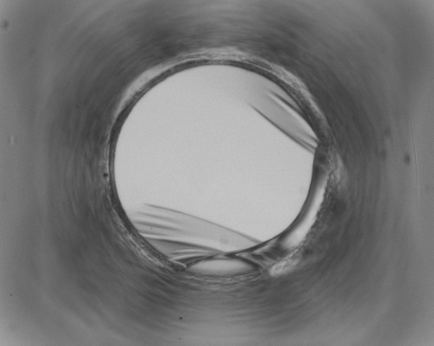 X0000080101176200701051257