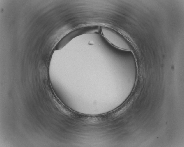 X0000080101177200701051257