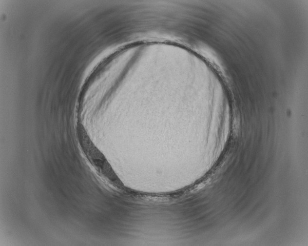 X0000080101183200701051257