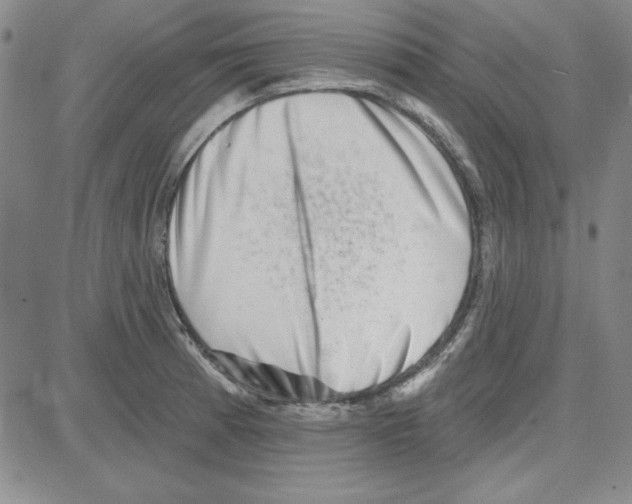 X0000080101185200701051257