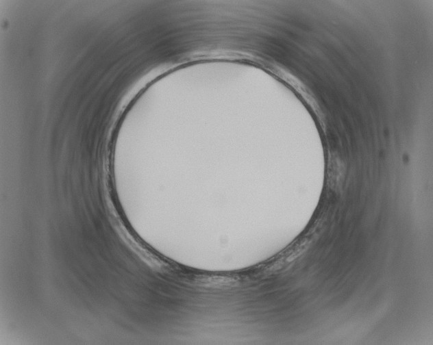 X0000080101187200701051257