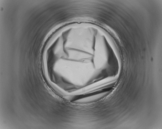 X0000080101192200701051257