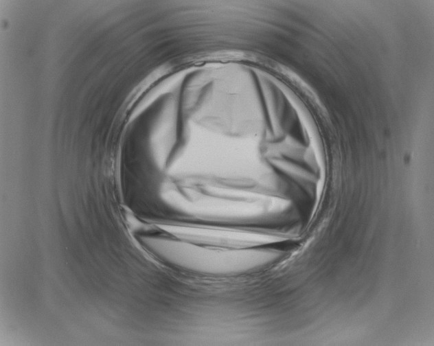 X0000080101193200701051257