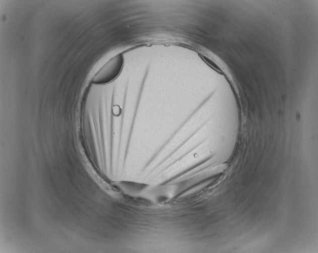 X0000080101195200701051257