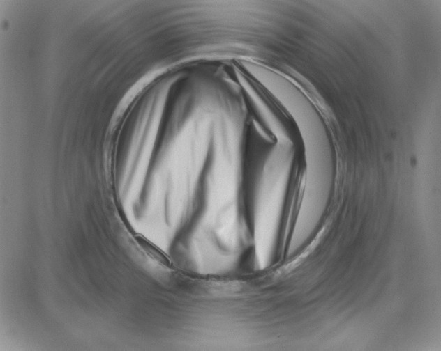 X0000080101196200701051257