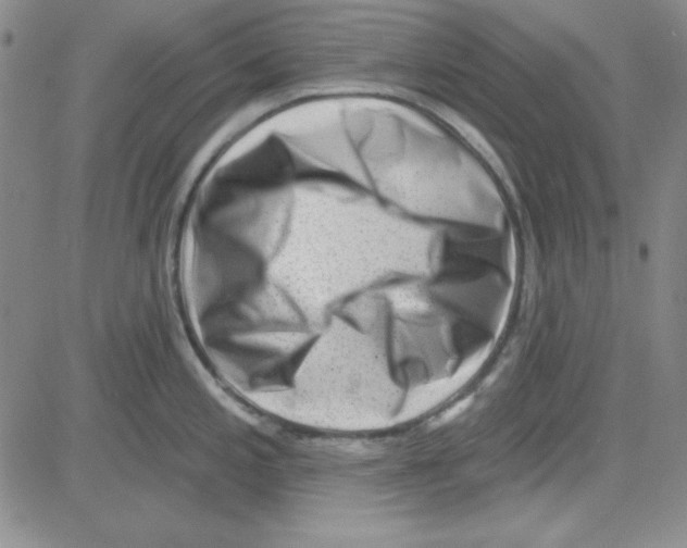 X0000080101197200701051257
