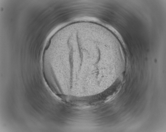 X0000080101199200701051257