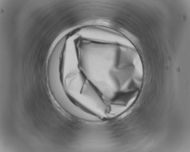 X0000080101200200701051257