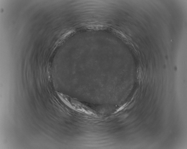 X0000080101202200701051256