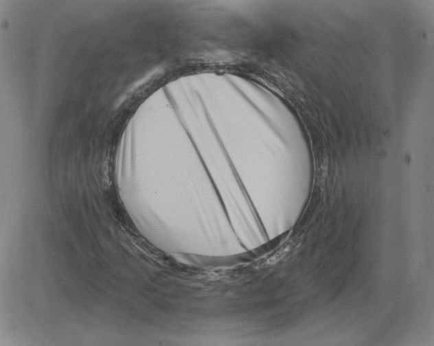 X0000080101205200701051256