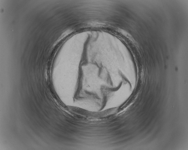 X0000080101209200701051256