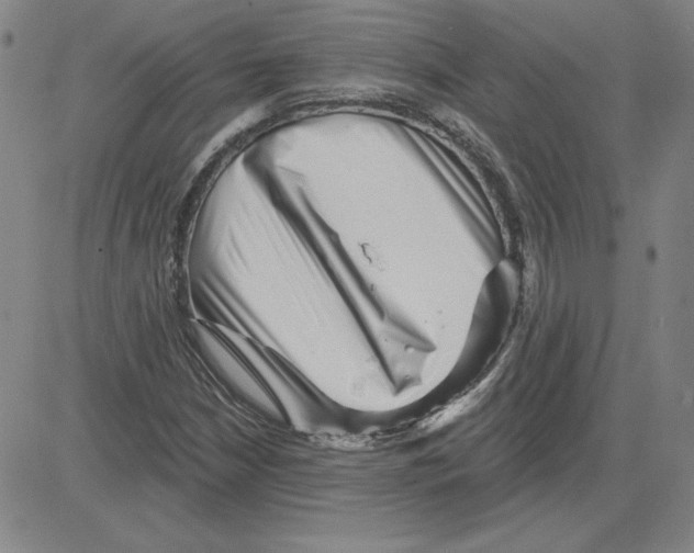 X0000080101210200701051256