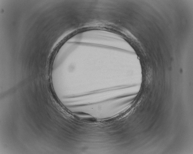 X0000080101216200701051256